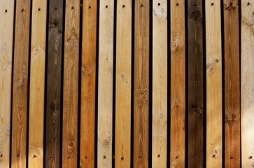 Fence as a background of multi-colored wooden boards, texture with carnations vertical.