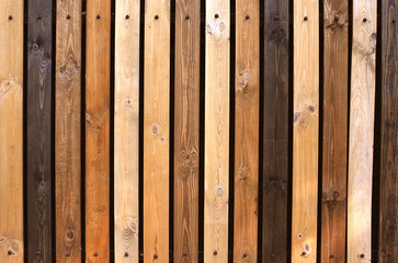 Fence as a background of multi-colored wooden boards, texture with carnations vertical.