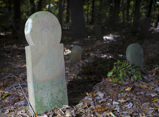 Old North Carolina grave markers