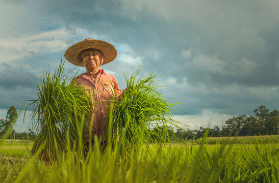 Smiles of farmers in Thailand