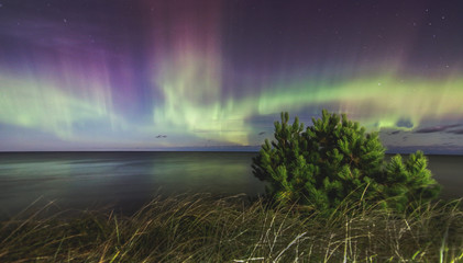 Northern Lights, Michigan