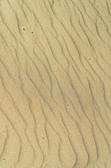 Waves in a sand