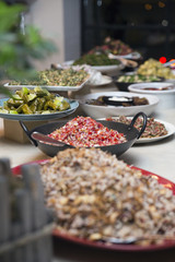 open buffet - appetizers and salads