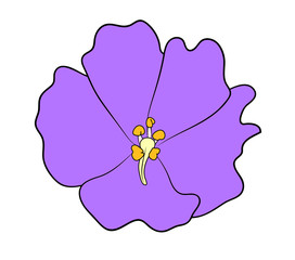 Vector illustration, isolated purple violet flower, outline hand painted drawing