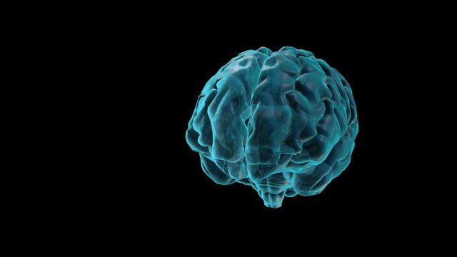 BRAIN-Anterior commissure
Human Brain Atlas