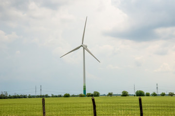 Wind Turbines in a Rape Field © nedomacki