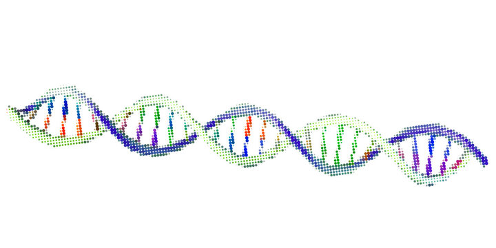 Abstract DNA spiral. Isolated on white background. Vector illustration.