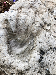 Fototapeta premium Print of hand on concrete. Handprint close up shot