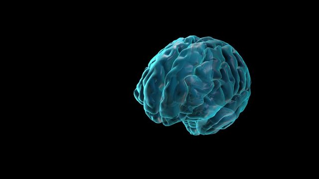BRAIN-Posterior commissure
Human Brain Atlas