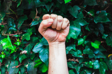 Hand with clenched a fist , against green leaves - Fist, Power, yes , gesture