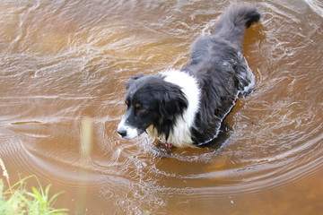 Weiherwiesen bei Tauchenweiler/Aalen-Essingen