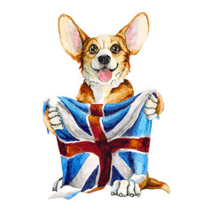 A dog of the Corgi breed holds the flag of Great Britain in the paws. isolated on white background - 209093916