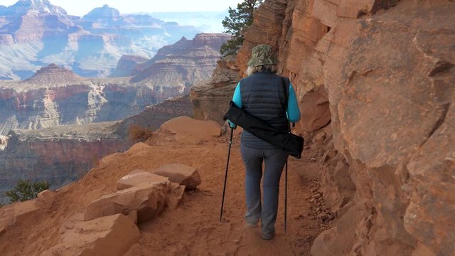 Woman Hiking At The Grand Canyon On A Serpentine Trail With Twists And Turns