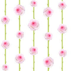 Roses. Flowers. Floral background. Seamless pattern. Petals. The stems. Vector illustration. Vertical pattern. Pink.