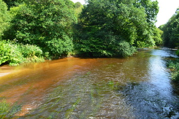 Rivière en Bretagne