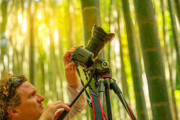 Nature photographer photographing giant bamboo forest at sunset in Take-dera forest, the popular...