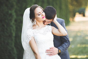 Perfect couple bride, groom posing and kissing in their wedding day