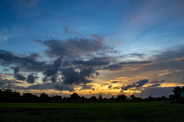 The sunset behind paddy fields and trees.