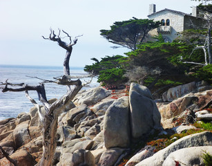 architecture and landscapes 