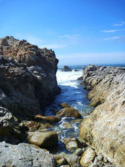 architecture and landscapes 