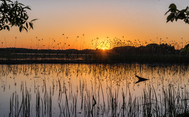 Sunset on the lake in summer