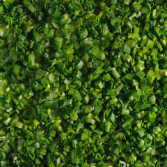 Macro background texture of green chives.