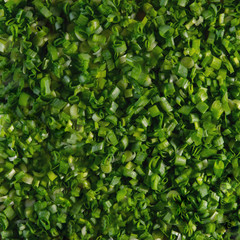 Obraz premium Macro background texture of green chives.