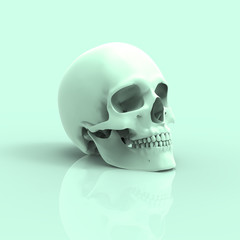 Human Skull Pastel 3D Render