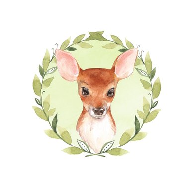 Baby Deer. Hand drawn cute fawn. Watercolor illustration