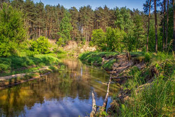 Rzeka Grabia w centralnej Polsce.