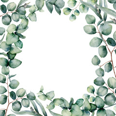 Watercolor eucaliptus leaves frame. Hand painted baby, seeded and silver dollar eucalyptus branch isolated on white background. Floral illustration for design, print, fabric or background.