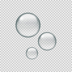Realistic circle water drops on transparent background. Water droplets.