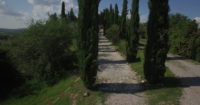 the cypress road in tuscany