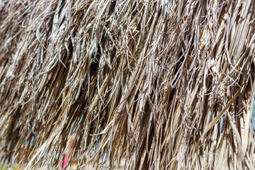 Part of the roof from dry palm leaves. A large background background is long, dry, brown, gray palm leaves.