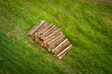 Woodstack with logs on a green field
