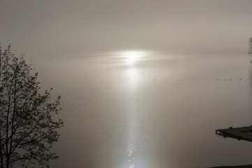 fog