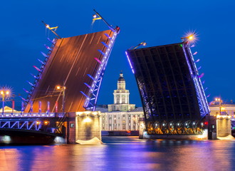 Fototapeta na wymiar Drawn Palace Bridge and Kunstkamera at white night, Saint Petersburg, Russia