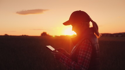 Young woman farmer working with tablet in field at sunset. The owner of a small business concept - Powered by Adobe