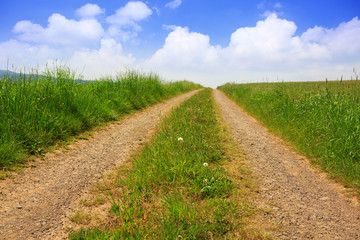Summer field and road.