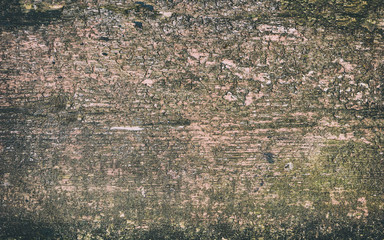 Texture of ebony. Wooden background