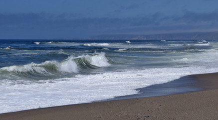 Fototapeta na wymiar Pt. Reyes National Seashore and beach, N. California