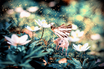 White fairy unicorn with butterfly wings on blooming anemone flower in spring forest. Realistic fairytale magic manipulation. Vintage toned