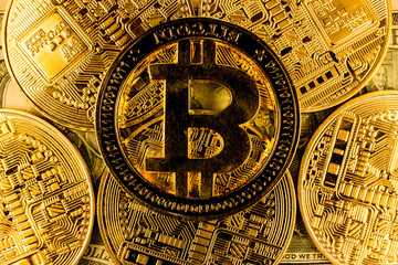 Fototapeta na wymiar Cryptocurrency golden Bitcoin. Blockchain technology