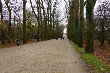Fototapeta premium France Castle path