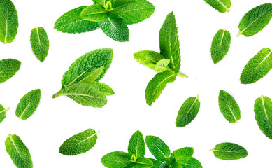 Fresh mint leaves pattern isolated on white background, top view. Close up of peppermint.