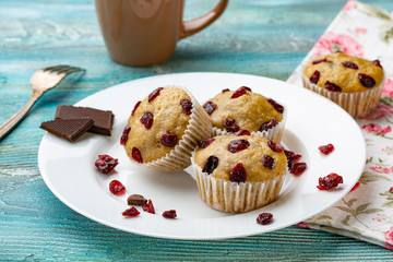 Vanilla muffins with dried cherries on the white plate and blue wooden rustic table.