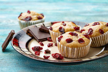Vanilla muffins with dried cherries on the white plate and blue wooden rustic table.