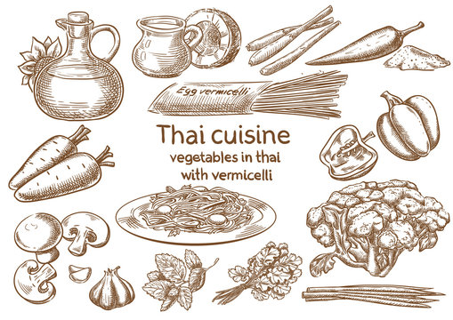 Thai cuisine. Vegetables in Thai with vermicelli ingredients vector sketch.