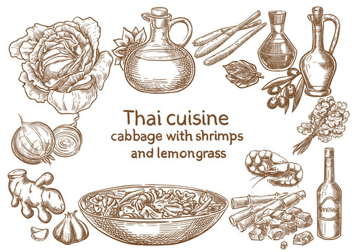 Thai cuisine. Cabbage with shrimps and levjngrass ingredients vector sketch.