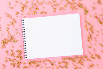 An empty pad on a pastel background surrounded by shiny decorative stars and balls.